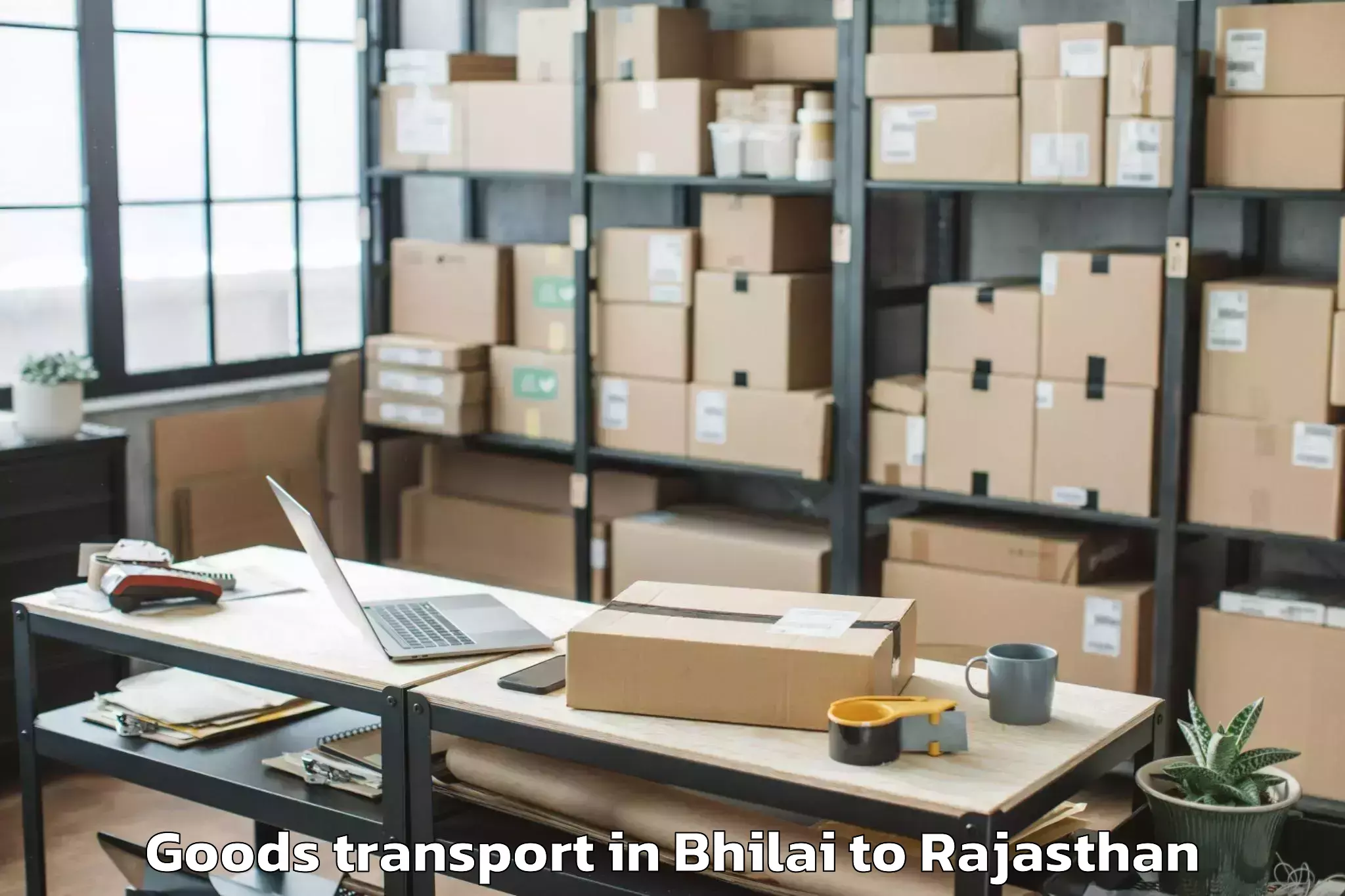 Reliable Bhilai to Rajsamand Goods Transport